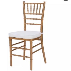 Gold Chiavari Chair with Cushion