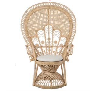 Peacock Chair